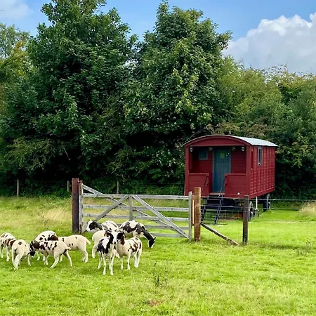 Kamp alanı Wicklow Wild Glamping Shepherds Huts At Greenan Maze