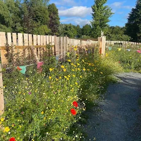 Wicklow Wild Glamping Shepherds Huts At Greenan Maze *