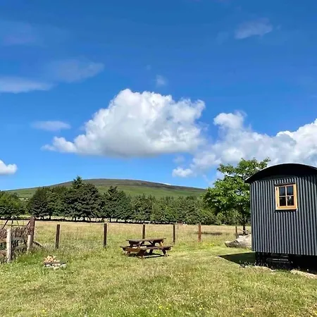 Wicklow Wild Glamping Shepherds Huts At Greenan Maze *