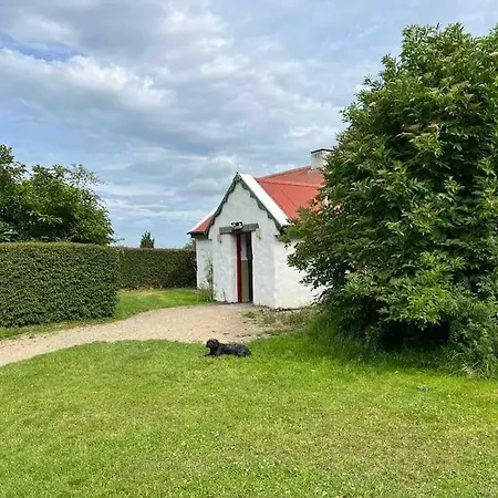 Wicklow Wild Glamping Shepherds Huts At Greenan Maze Rathdrum