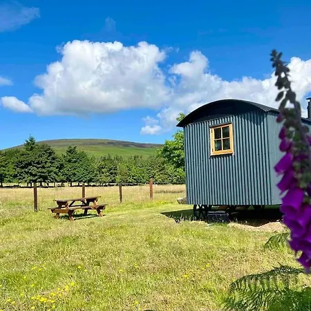 Wicklow Wild Glamping Shepherds Huts At Greenan Maze Kemping
