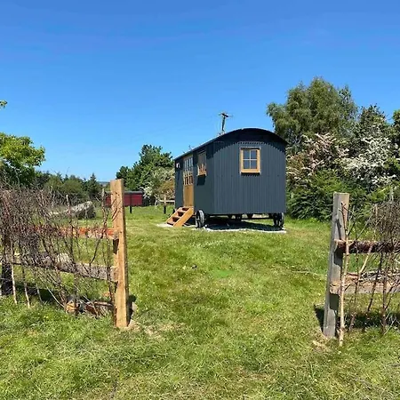 Wicklow Wild Glamping Shepherds Huts At Greenan Maze Campsite