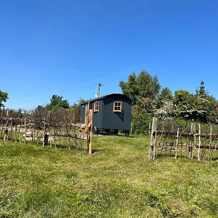 Wicklow Wild Glamping Shepherds Huts At Greenan Maze Campsite