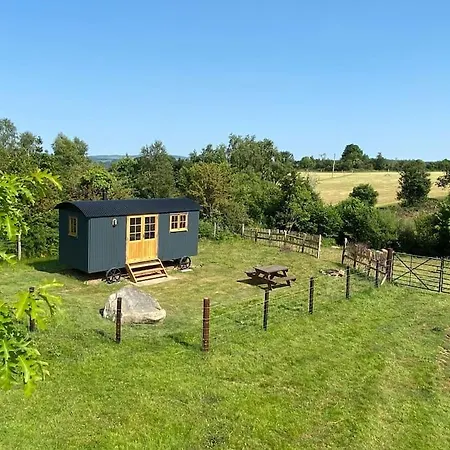 Wicklow Wild Glamping Shepherds Huts At Greenan Maze Kamp alanı
