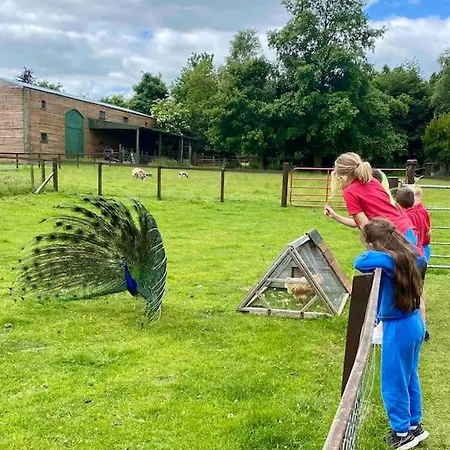 Wicklow Wild Glamping Shepherds Huts At Greenan Maze Campsite