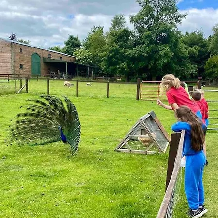 Wicklow Wild Glamping Shepherds Huts At Greenan Maze Kamp alanı