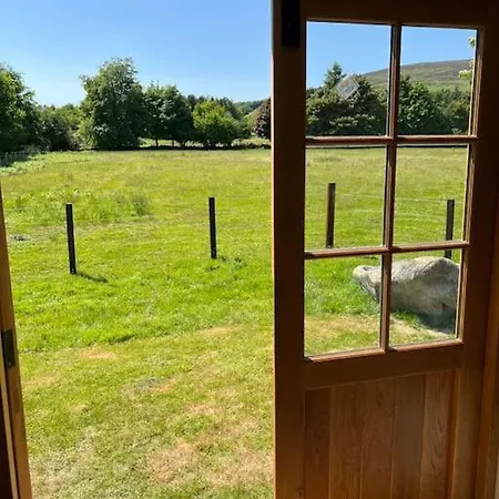 Wicklow Wild Glamping Shepherds Huts At Greenan Maze Kamp alanı *